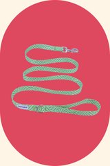 Cookie Leash (1.5m)