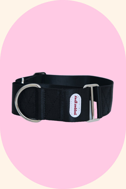 Classic Black Collar, black greyhound martingale collar