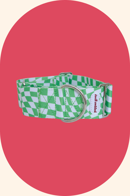 The Cookie Collar, green & white check greyhound martingale collar