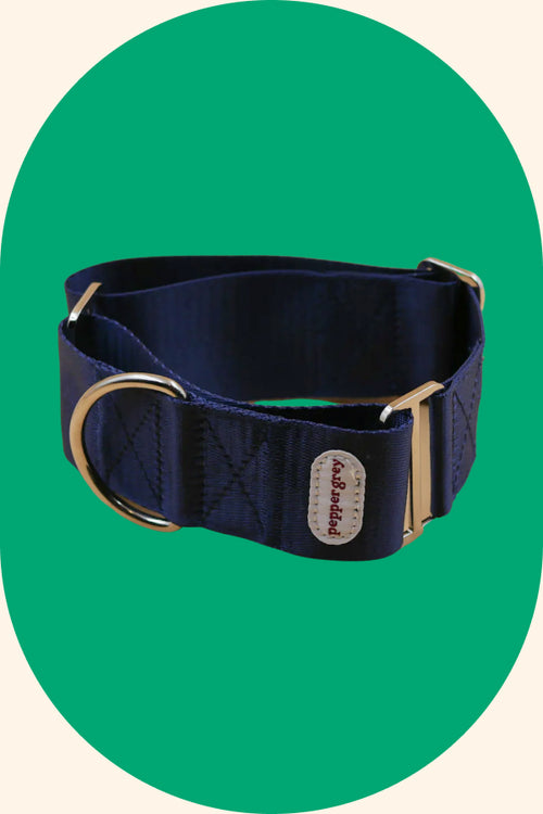 The Navy Collar, simple navy greyhound martingale collar
