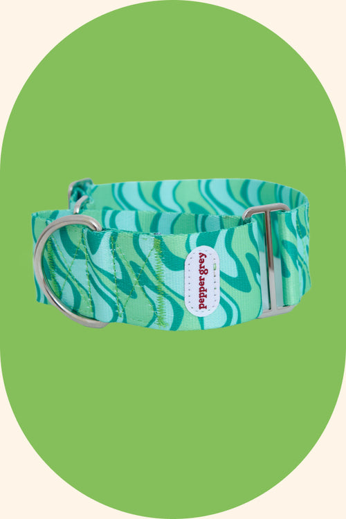 The Suki Collar, green wavy retro greyhound martingale collar