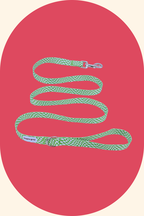 Cookie Leash (1.5m)