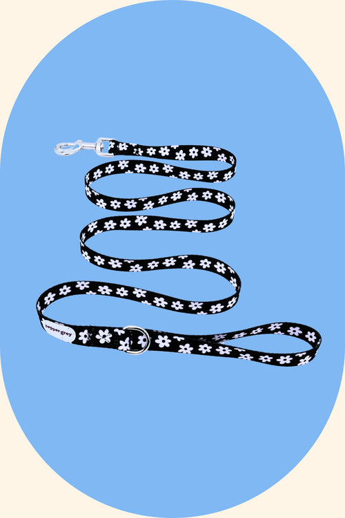 Daisy Leash (1.5m)
