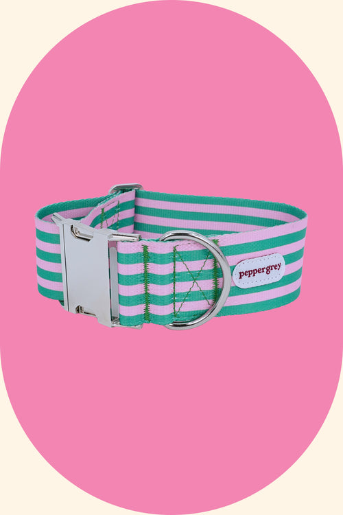 Jupiter Stripe Wide Dog Collar with Buckle