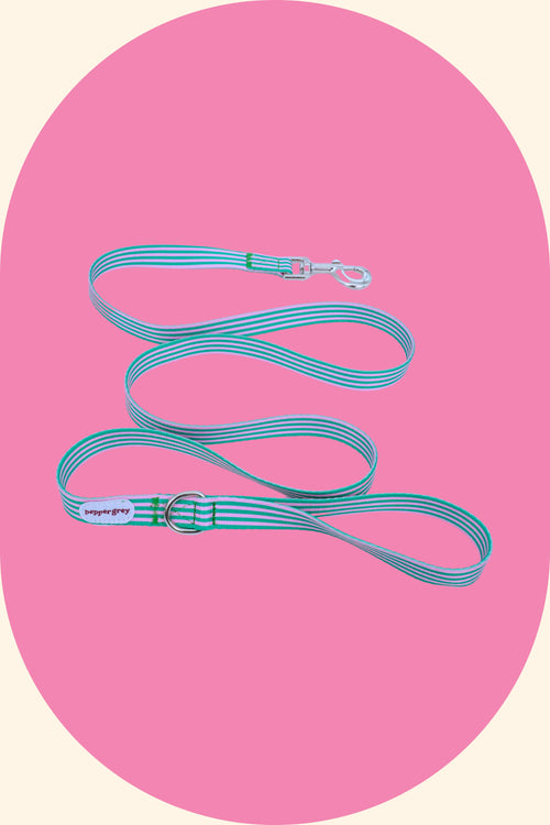 Jupiter Stripe Leash (1.5m)