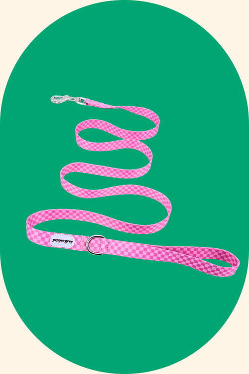 Katie Leash (1.5m)