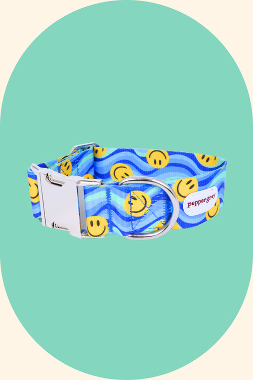 Smile & Wave Wide Dog Collar with Buckle