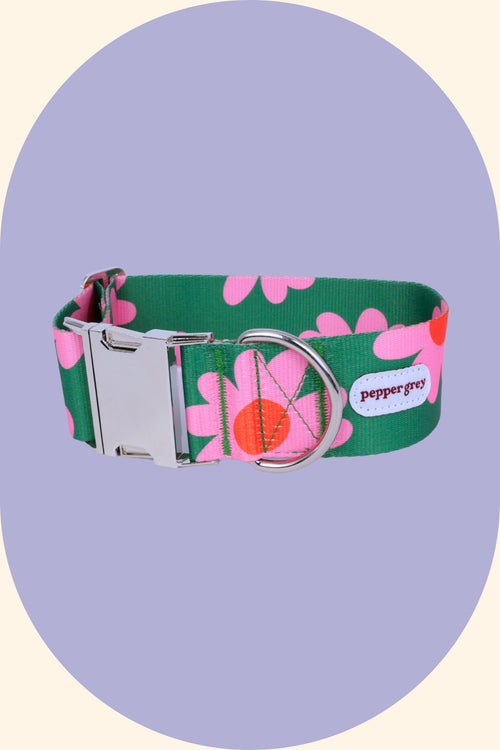 Summer Flowers Wide Dog Collar with Buckle