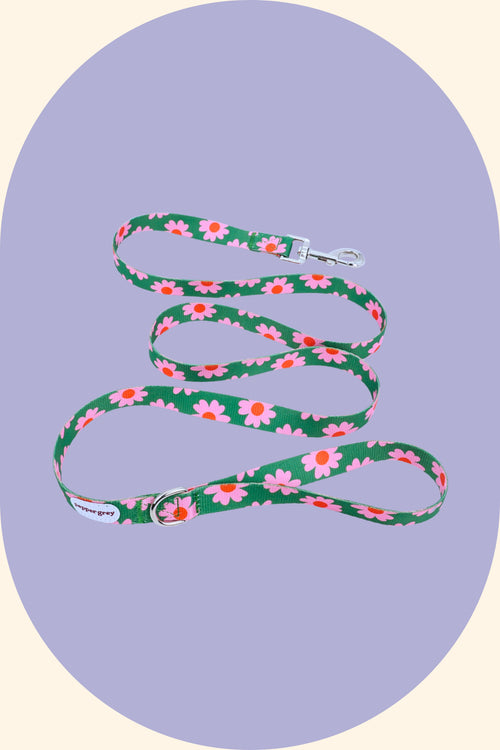Summer Flowers Leash (1.5m)
